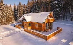 Oskarówka domek w górach na odludziu z jacuzzi i sauną - kominek i Netflix